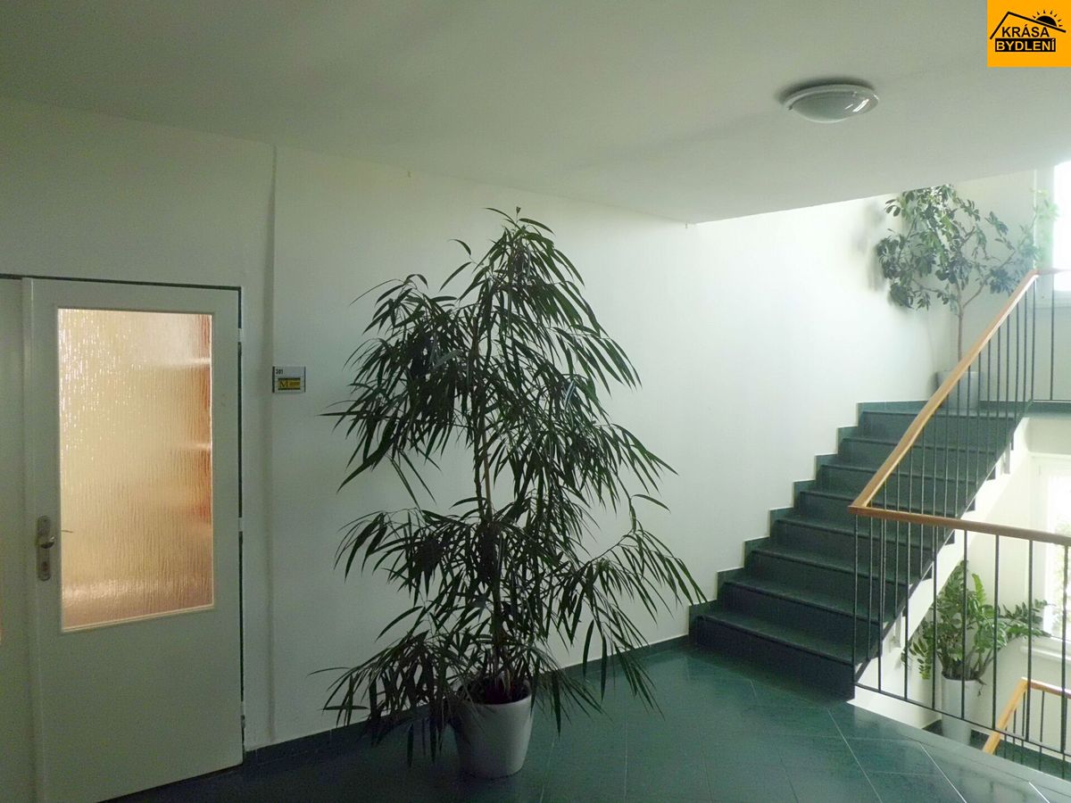 Pronájem kanceláře 23 m² – fotografie 3