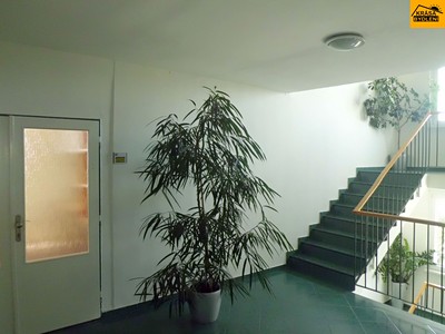 Комерційне приміщення в оренду, 23 м² (3 з 9)