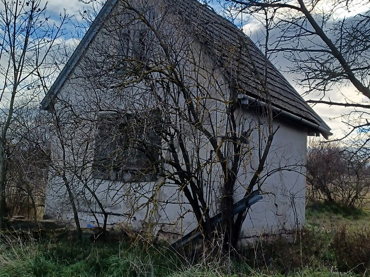 Ostatní