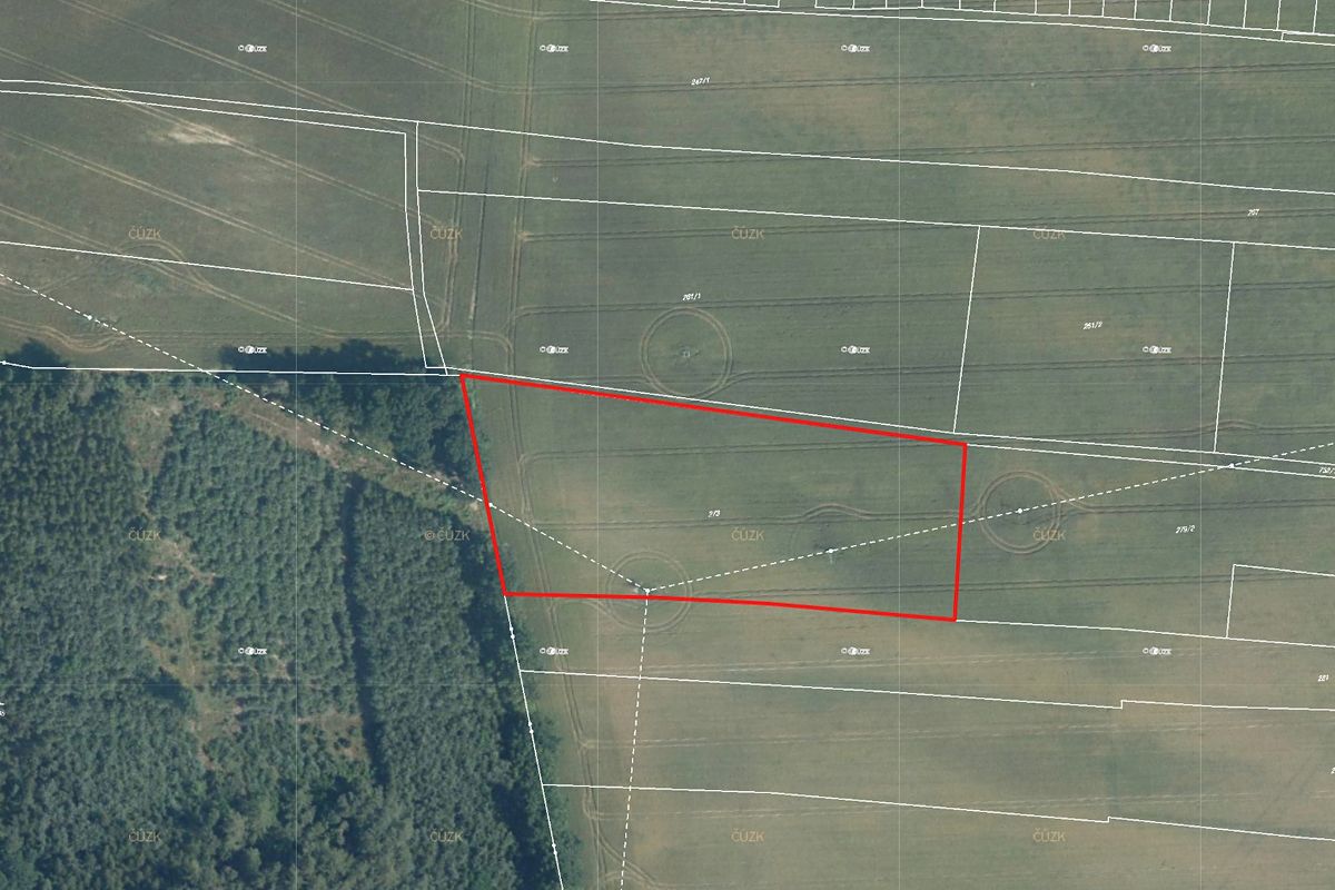 Prodej pole 9907 m² – fotografie 2