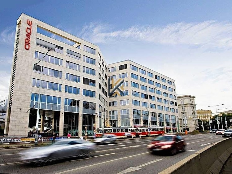Pronájem komerčního prostoru, 487 m² (2 z 7)