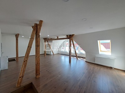 Gewerbefläche zur Miete, 250 m² (3 von 29)