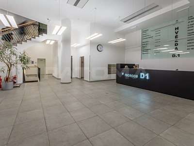 Pronájem komerčního prostoru, 215 m² (2 z 16)