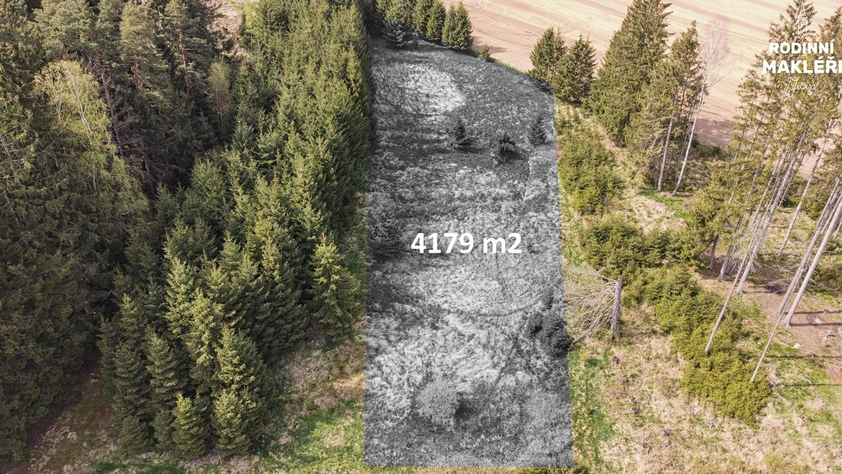 Prodej louky 4179 m² – fotografie 2
