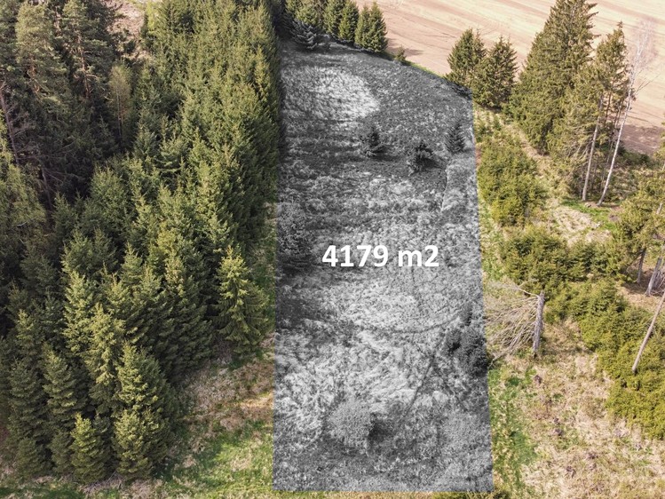 Prodej pozemku, 4 179 m² (2 z 7)