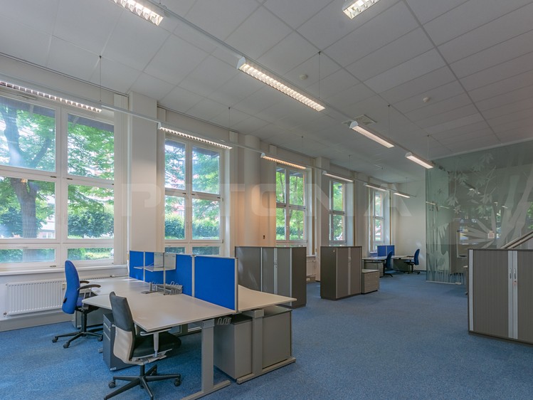 Pronájem komerčního prostoru, 215 m² (7 z 16)