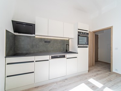 Pronájem bytu 1+1 40 m²