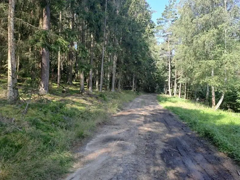 Prodej pozemku 5629 m², Mirotice – náhled fotky 2