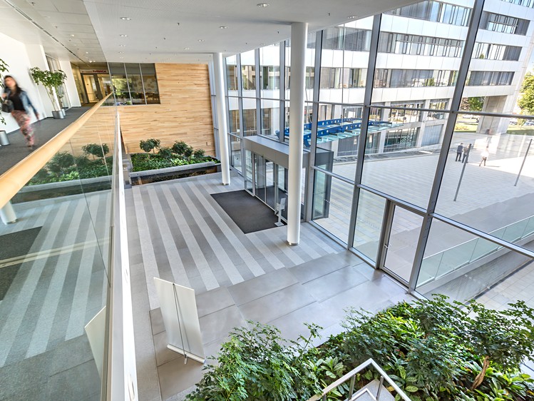 Gewerbefläche zur Miete, 650 m² (6 von 9)