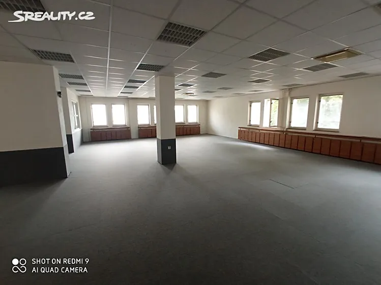 Pronájem obchodního prostoru 185 m² – pohled 2