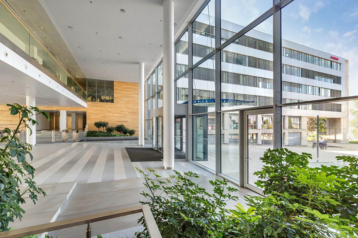 Pronájem kanceláře 650 m² – fotografie 5
