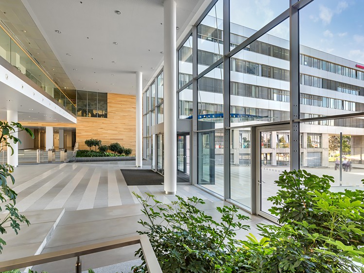 Gewerbefläche zur Miete, 650 m² (5 von 9)