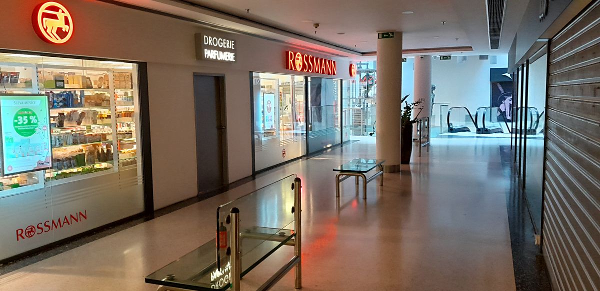 Pronájem obchodního prostoru 263 m² – fotografie 3