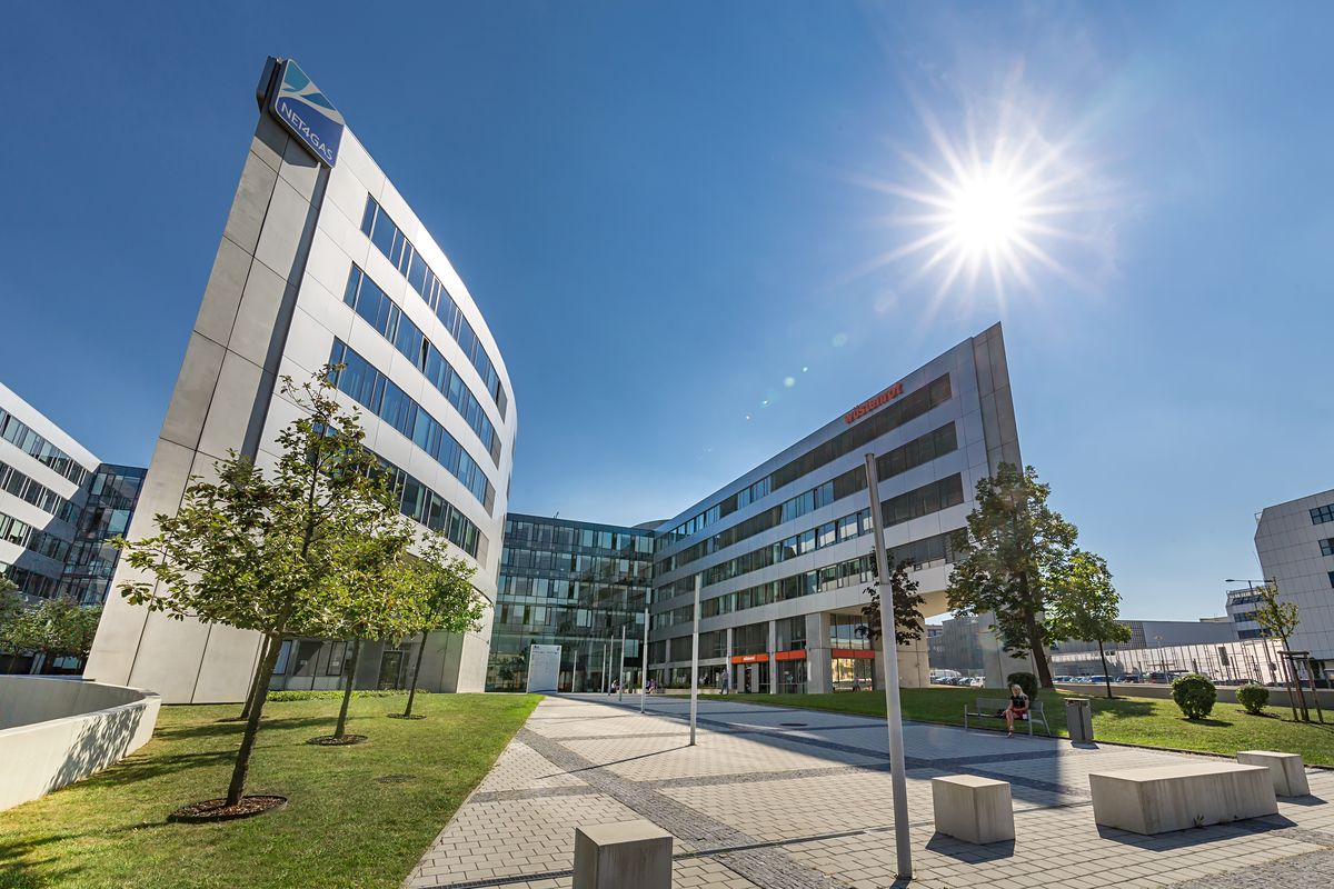 Pronájem kanceláře 650 m² – fotografie 2