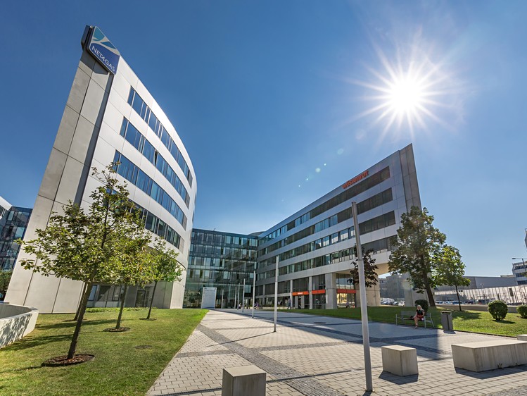 Gewerbefläche zur Miete, 650 m² (2 von 9)