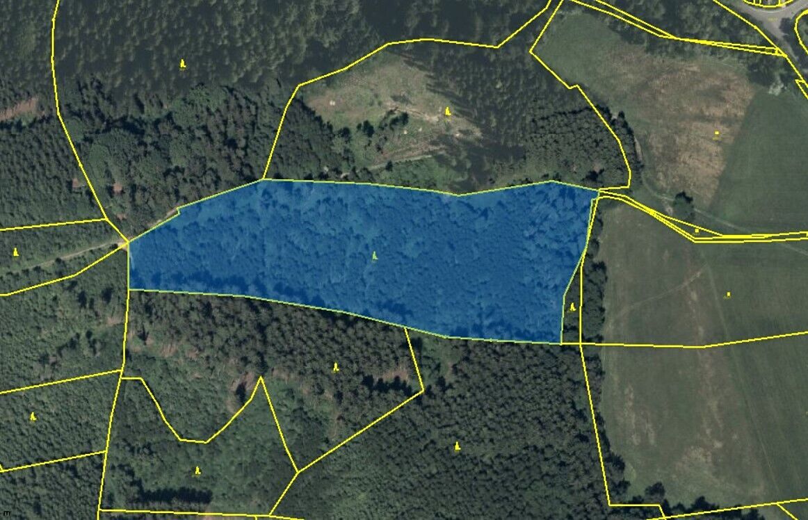 Pronájem pole 23172 m²