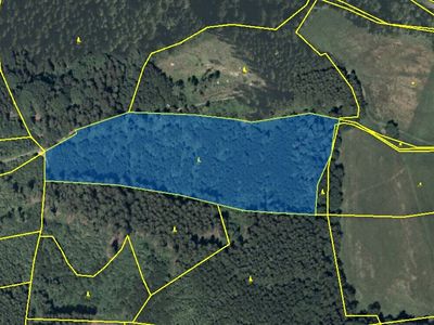 Pronájem pole 23172 m²