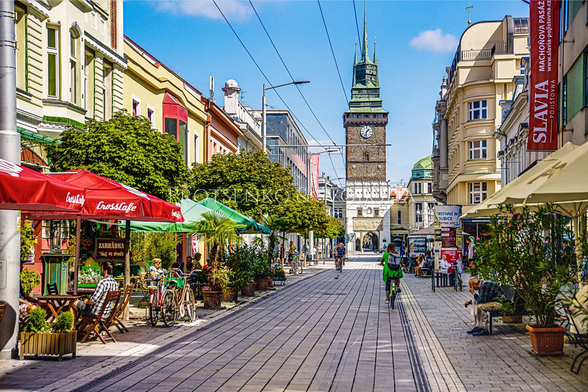 Prodej komerčního pozemku 4073 m² – fotografie 5