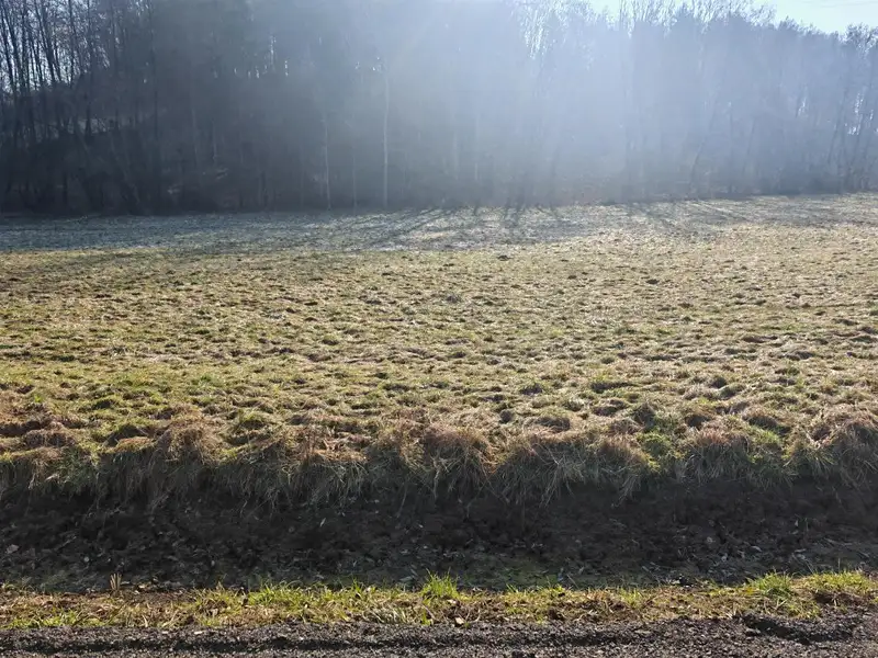 Prodej komerčního pozemku 1914 m², Mírová pod Kozákovem – náhled fotky 1