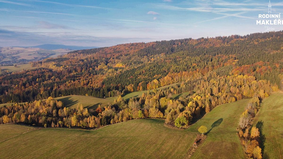Prodej lesa 180 m² – fotografie 2