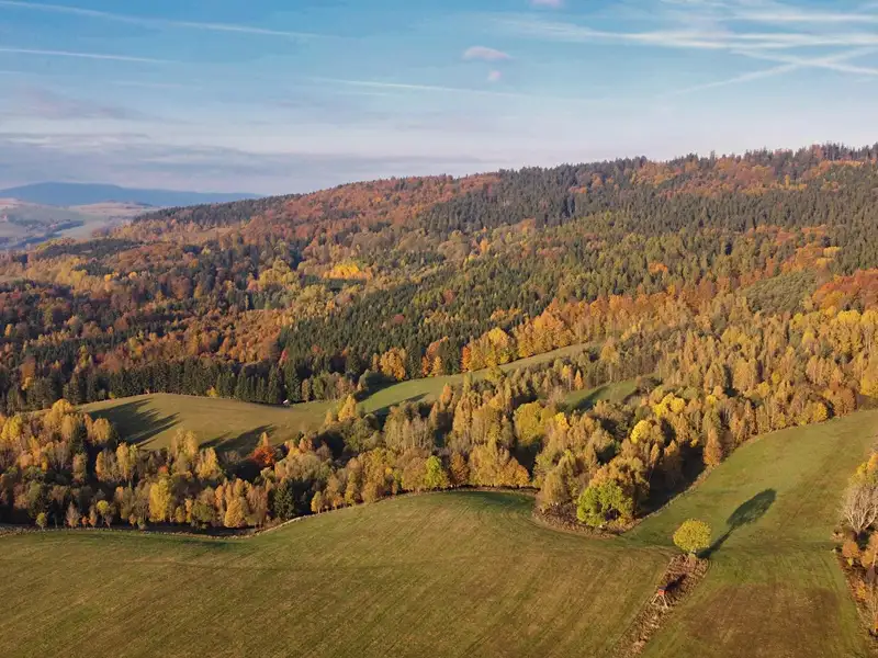 Prodej lesa 180 m², Malá Morava – náhled fotky 2