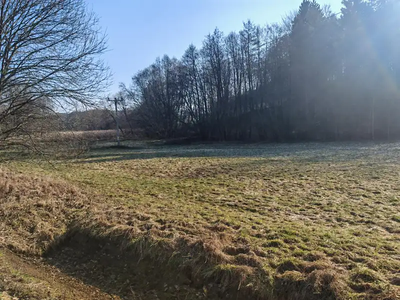 Prodej komerčního pozemku 1914 m², Mírová pod Kozákovem – náhled fotky 2