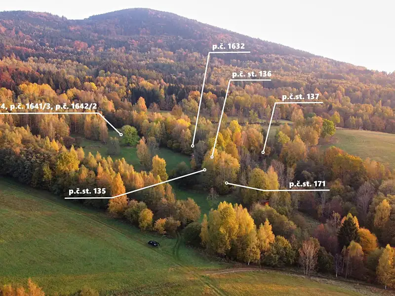 Prodej lesa 180 m², Malá Morava – náhled fotky 1