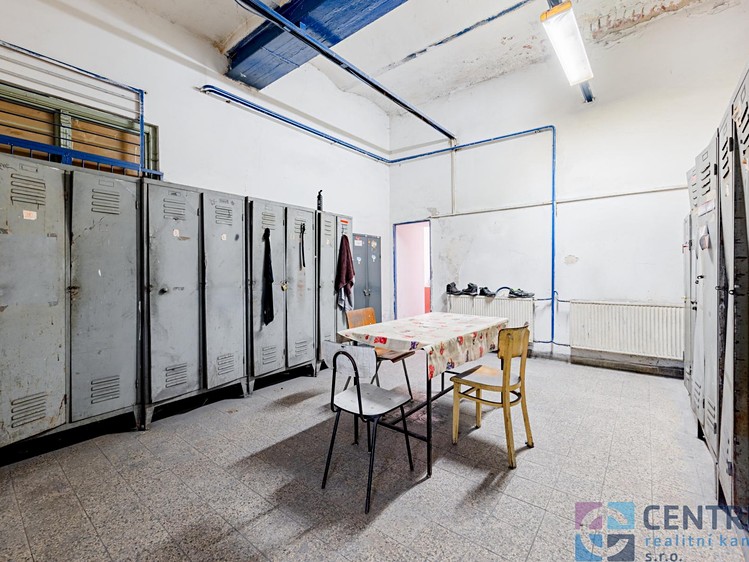 Prodej komerčního prostoru, 492 m² (12 z 23)