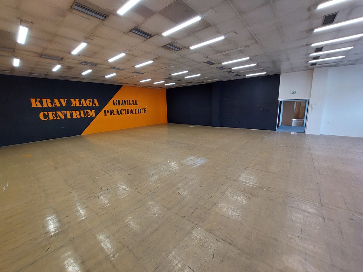 Pronájem skladového prostoru 193 m² – fotografie 2