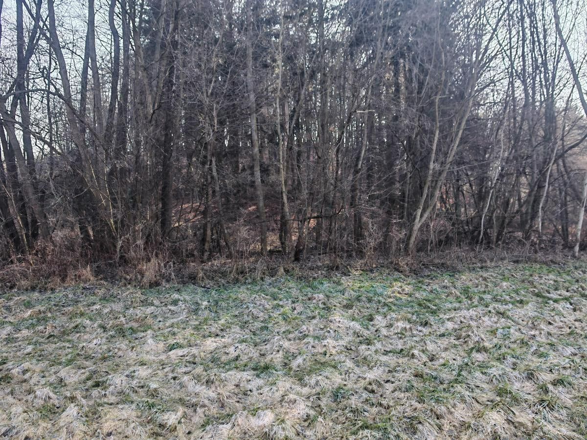 Prodej komerčního pozemku 1914 m² – fotografie 3