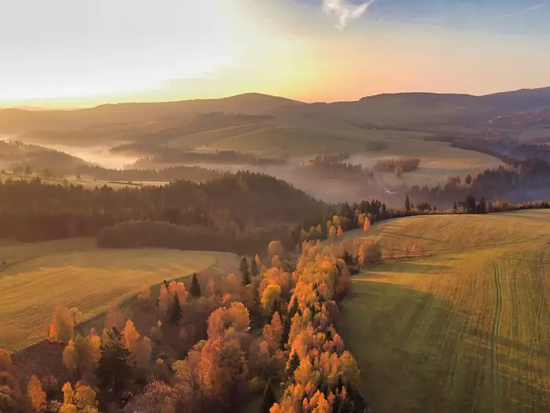 Prodej lesa 180 m², Malá Morava – náhled fotky 3
