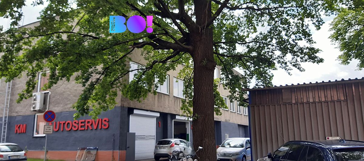 Pronájem kanceláře 129 m² – fotografie 2