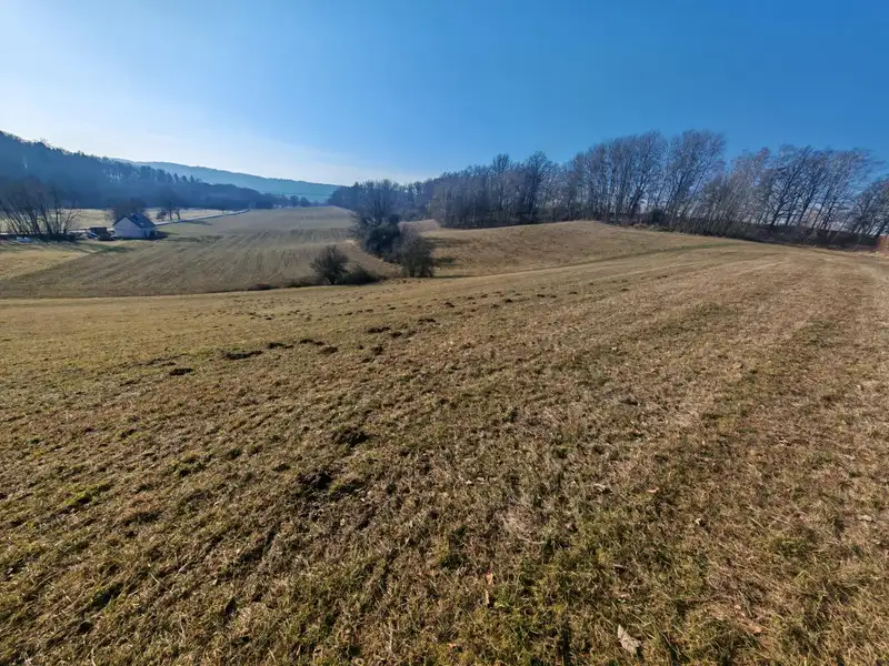 Prodej louky 38134 m², Mírová pod Kozákovem – náhled fotky 1