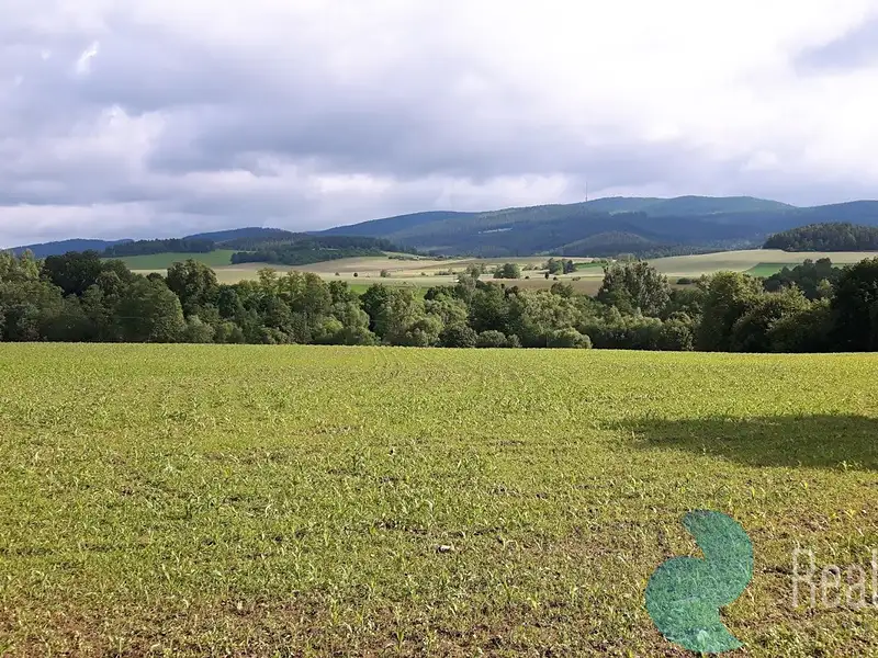 Prodej komerčního pozemku 42414 m², Kájov – náhled fotky 2
