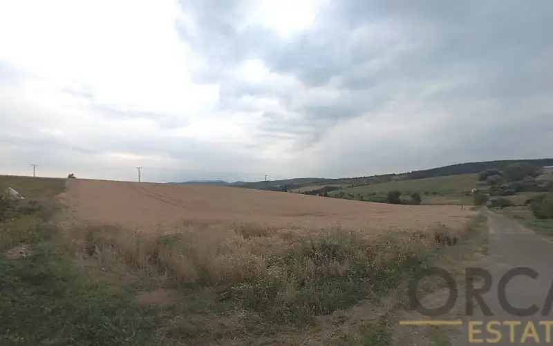Prodej pole 4802 m², Medlovice – náhled fotky 2