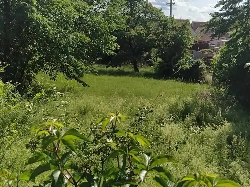 Prodej stavebního pozemku 659 m², Šanov – náhled fotky 3