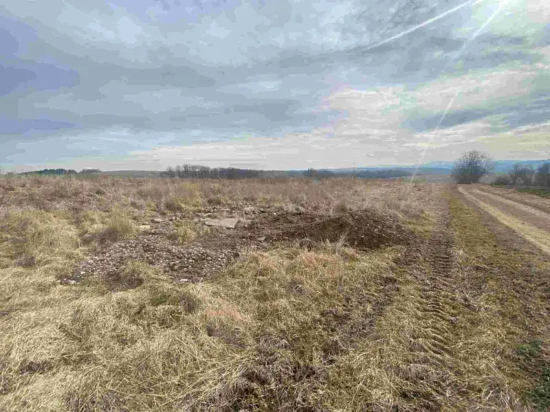 Prodej pozemku 2430 m², Střížov – náhled fotky 3