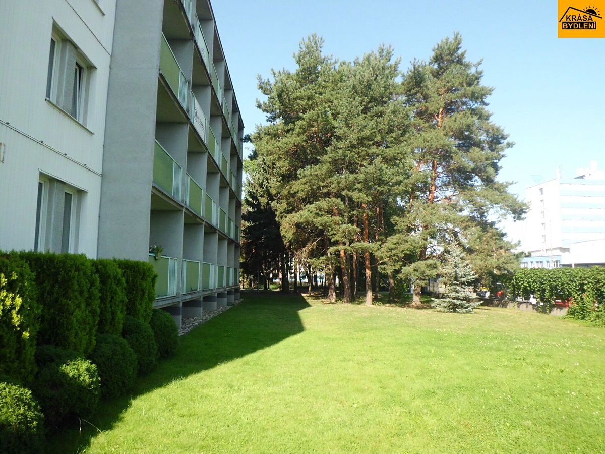 Pronájem kanceláře 20 m² – fotografie 2
