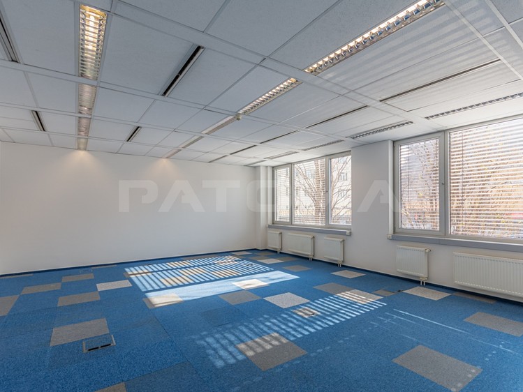 Pronájem komerčního prostoru, 480 m² (4 z 15)