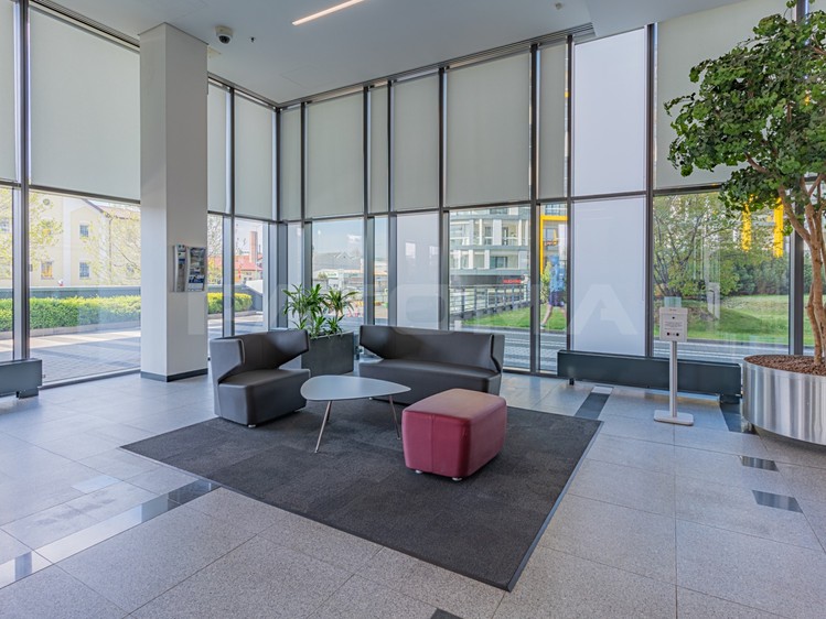 Pronájem komerčního prostoru, 739 m² (9 z 15)