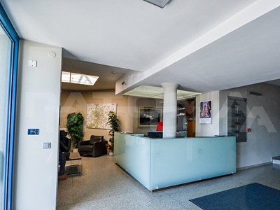 Gewerbefläche zur Miete, 400 m² (2 von 17)