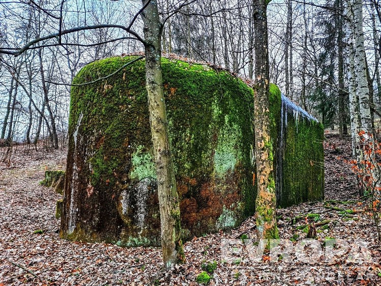 Ділянка на продаж, 2 013 м² (4 з 6)