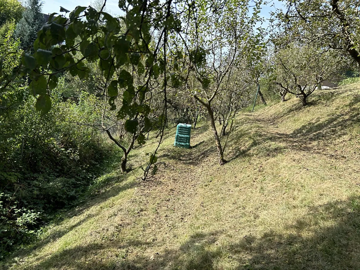 Fotka 9 z 13