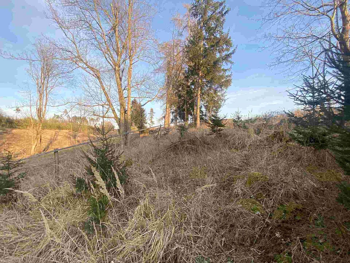 Prodej pozemku 5268 m² – fotografie 2
