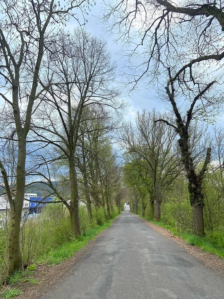 Prodej komerčního pozemku 1420 m²