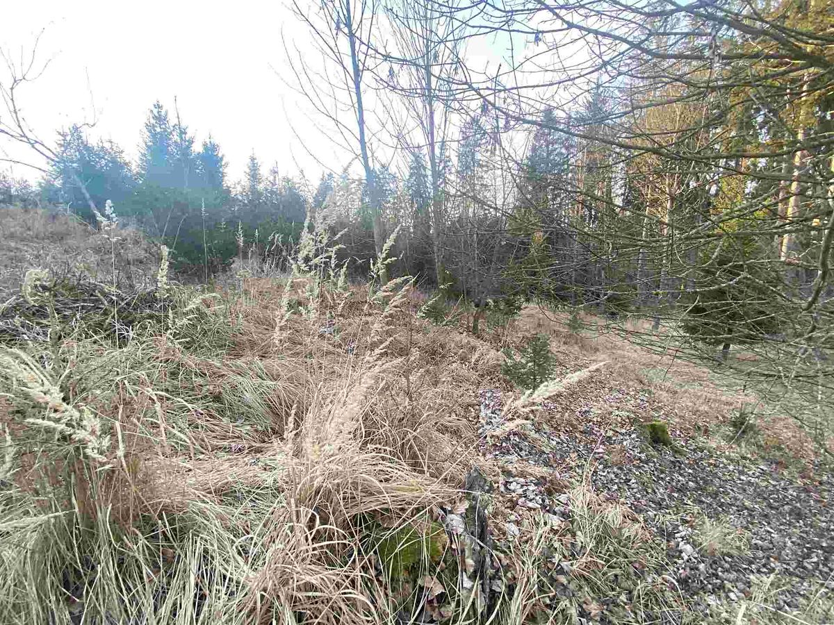 Prodej pozemku 5268 m² – fotografie 3