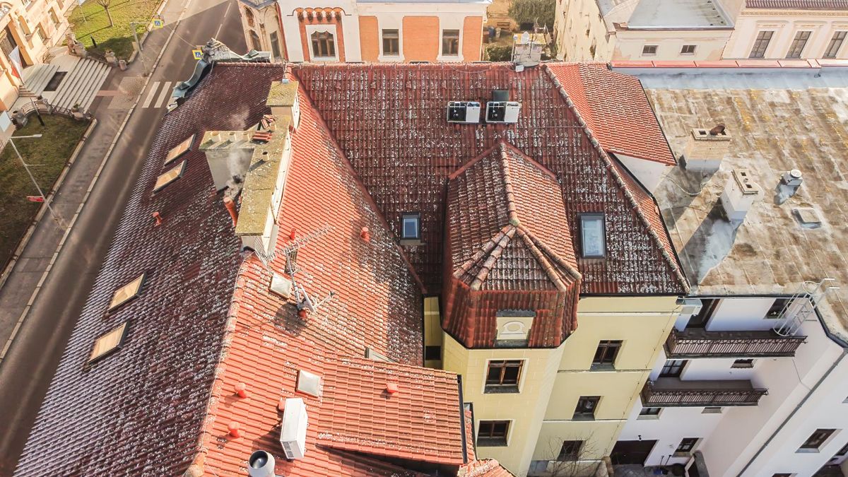 Prodej obchodního prostoru 800 m² – fotografie 4