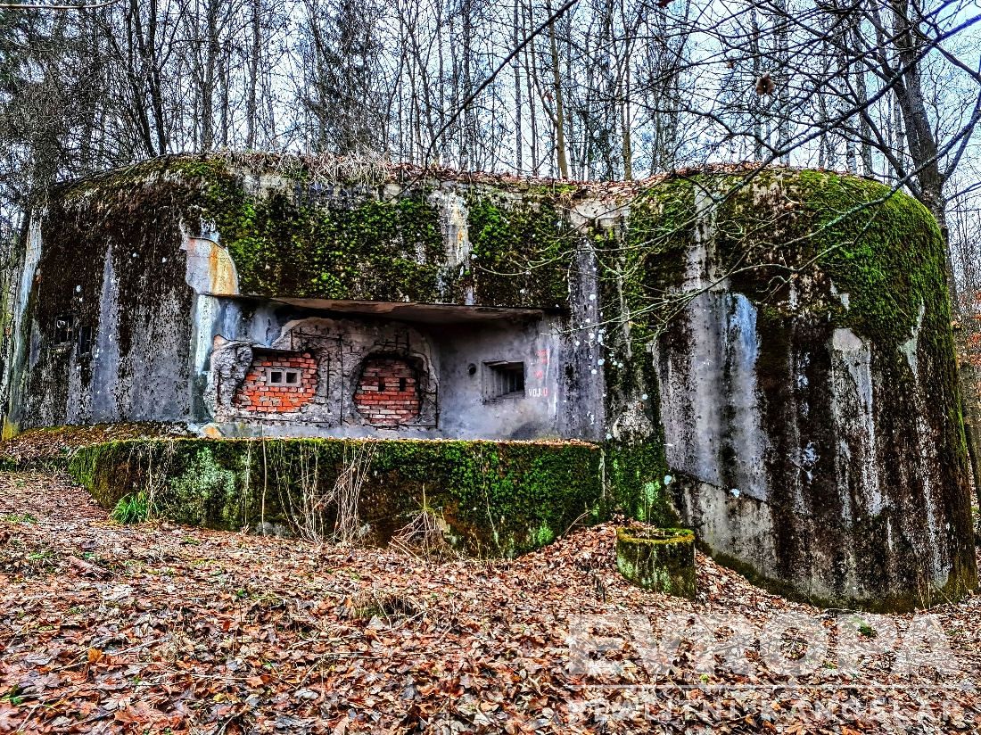 Prodej pozemku 2013 m² – fotografie 2