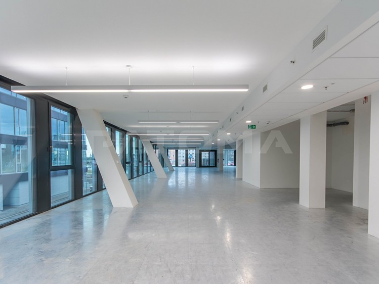 Комерційне приміщення в оренду, 216 м² (6 з 8)