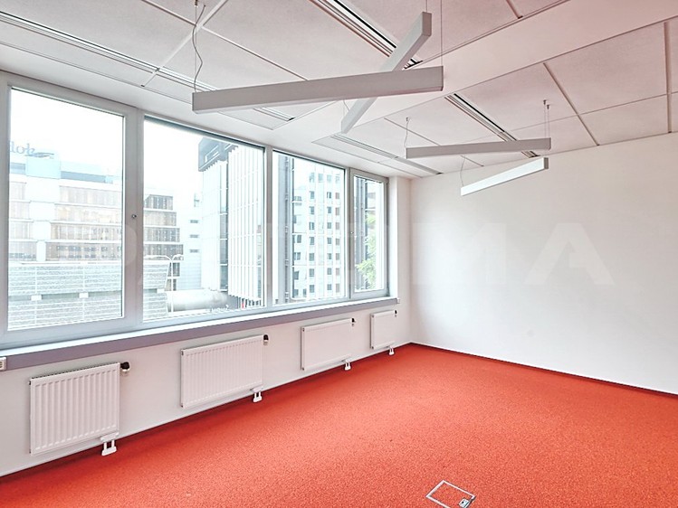 Pronájem komerčního prostoru, 480 m² (7 z 15)